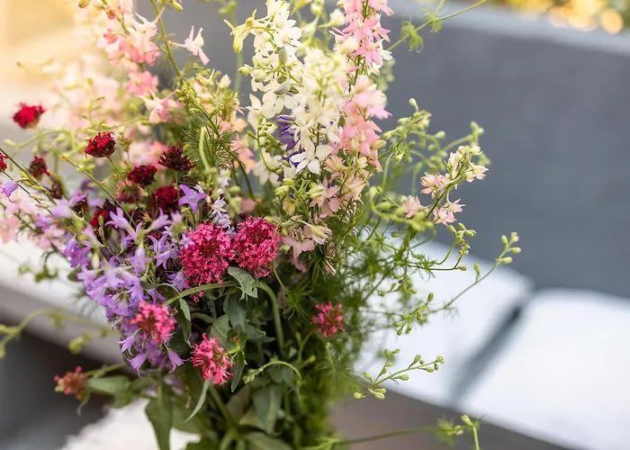 Grota Premium & Apartamento