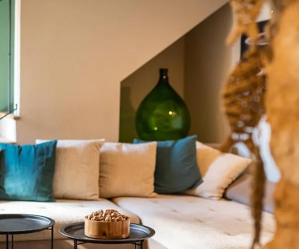 아파트 Grota Premium & *